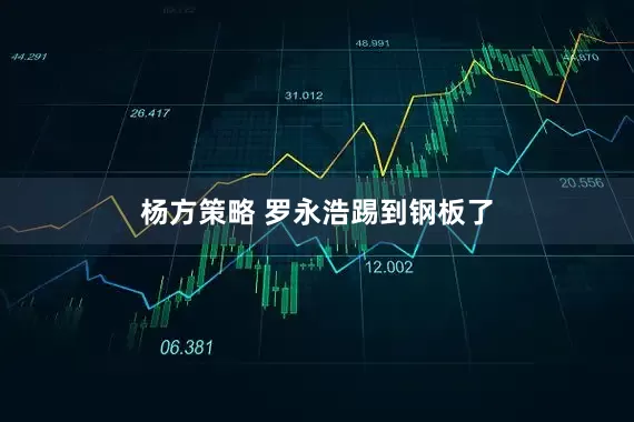 杨方策略 罗永浩踢到钢板了